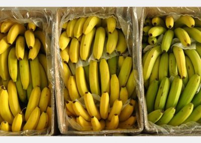 Cold-storage banana